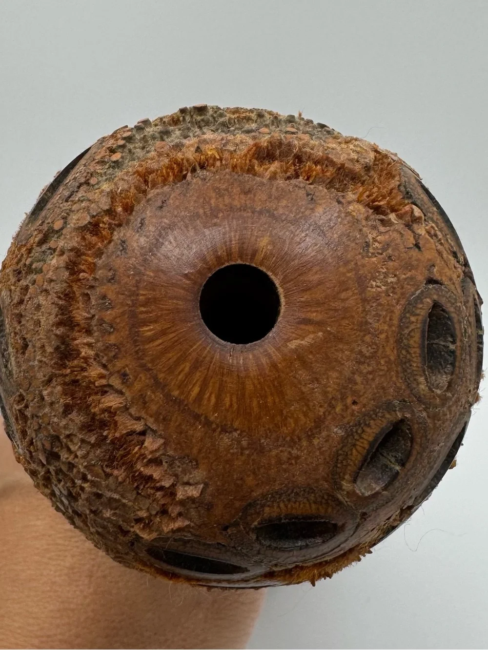Vintage 1990 Banksia Pod Vase Turned Wood Seed Cone Bottle Studio Art MCM Brutal